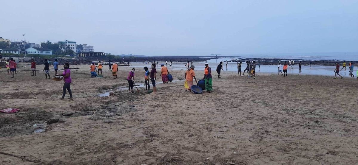 Beach Cleaning at Silver Beach, Madh Island