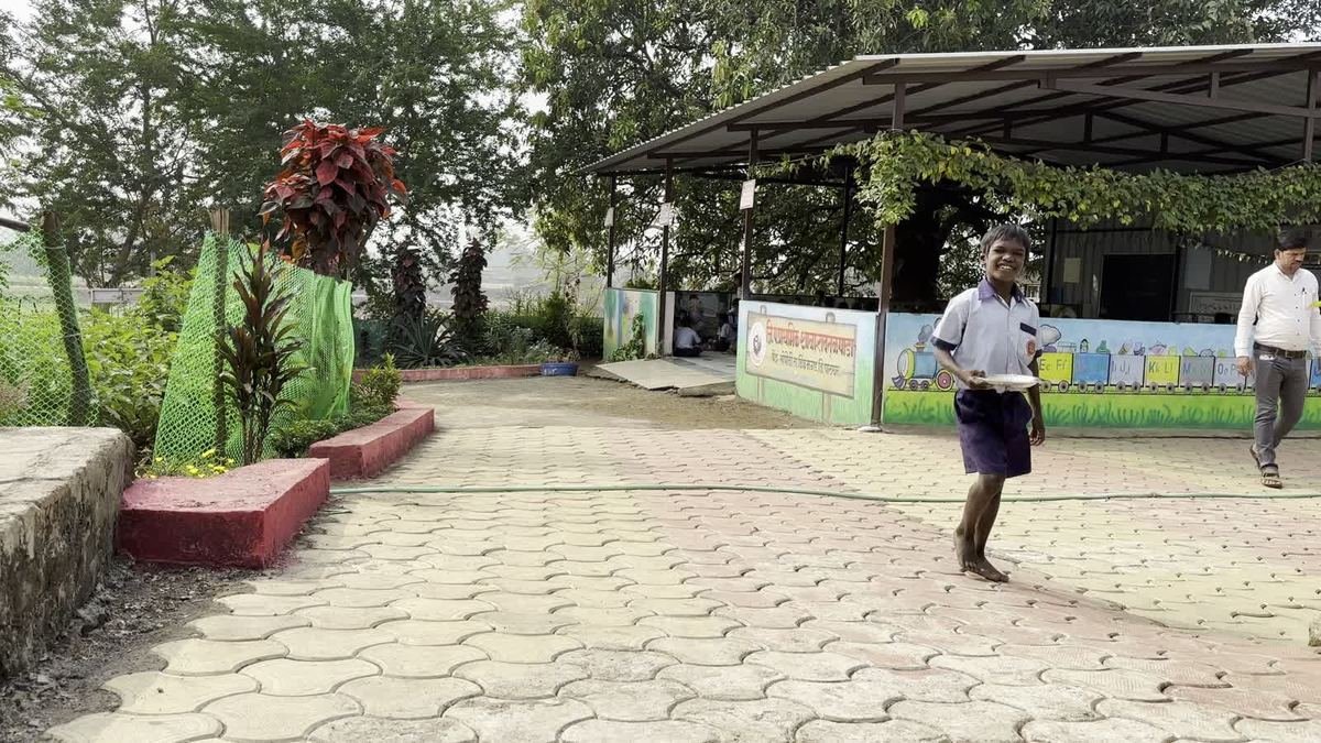 The school courtyard and garden, 7 January 2023